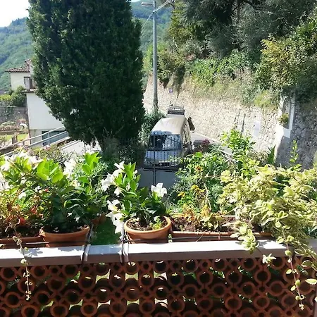Casa In Uliveto Toscano * Saturnana
